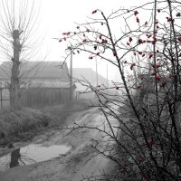 по тихим улицам :: Anka Pulemetchizza