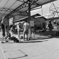 ... :: Владимир 