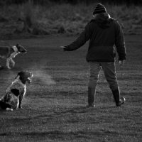 ... :: Aleksandr Papkov