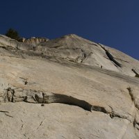 кто кого :: alexandr 