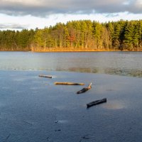 ... :: Александр Карапунарлы