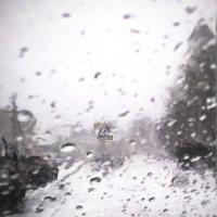 Осторожно,пешеход... :: владимир 