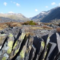 сноудония :: Natallia 