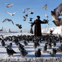 зима и голуби :: Виктор Ковчин