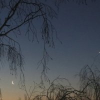 Месяц и Венера :: Lena 