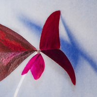 Загадка... :: Маргарита Фискина Загадка... :: Маргарита Фискина