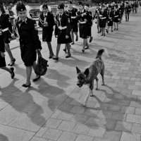 тяга к знаниям :: Евгений (bugay) Суетинов