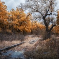 БЫЛОЕ......... :: Алексей Фотограф Михайловка