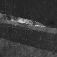 Кто там? :: Сергей Гойшик