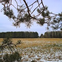 предзимье :: Яна Магик