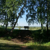 Раздумье :: olga 