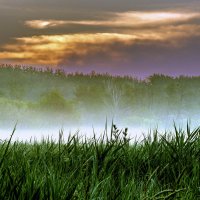 Туманный рассвет. :: Валерий Изотов