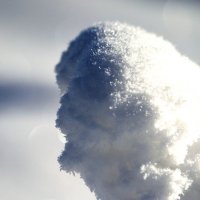 Природа создает портреты :: Александр Ефремов