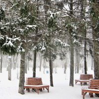 Метель :: Людмила 