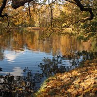 Осень :: Ирина Румянцева