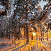 *** :: олег *** :: олег