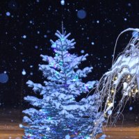 новогодняя елочка перед отелем :: Tatiana 