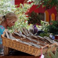 ... :: Александр Иванов ... :: Александр Иванов