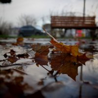 ... :: ALEX MAK ... :: ALEX MAK