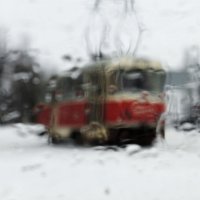 *** :: Виктор Бойко