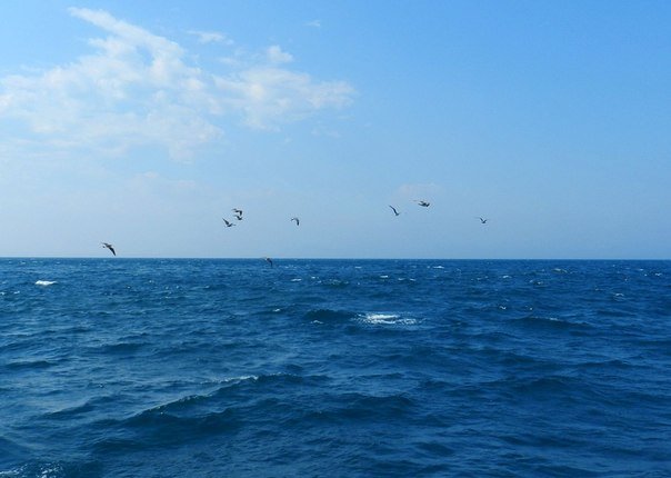 немного лета! - Polina Malina немного лета! - Polina Malina