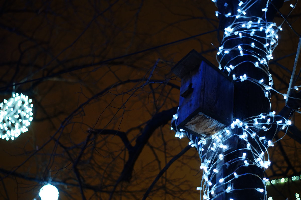 *** - Хельги Гончаров