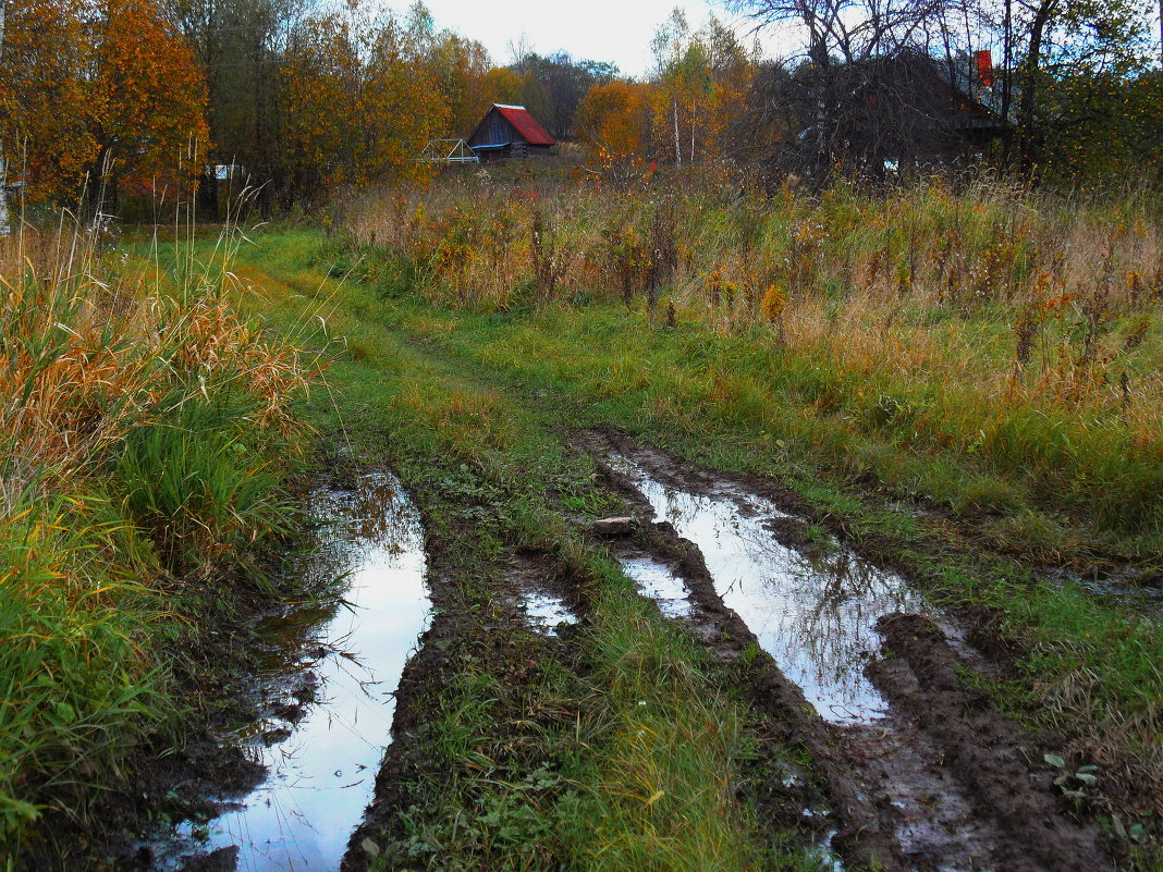 ...дороги...беда России!...:)))... - Ира Егорова :)))