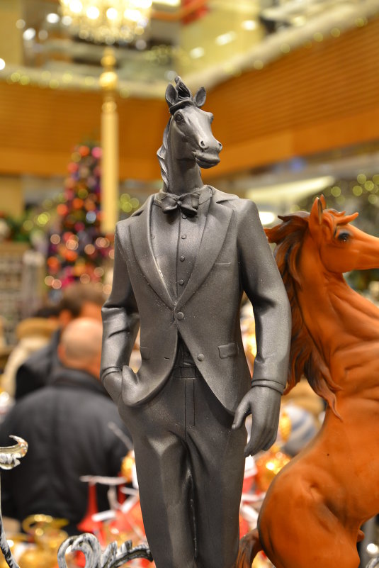 Конь в пальто - Арина Коломыйцева