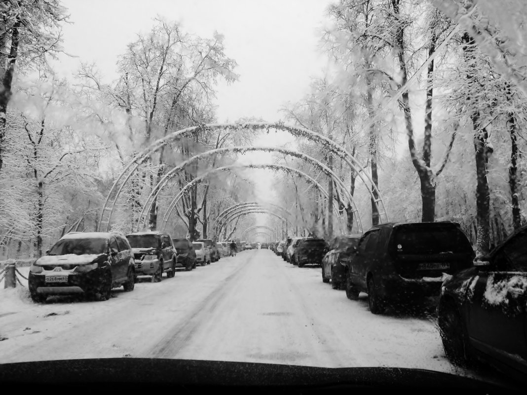 Вьезд в Усадьбу Деда Мороза в Кузьминках Москва. - Ольга Кривых