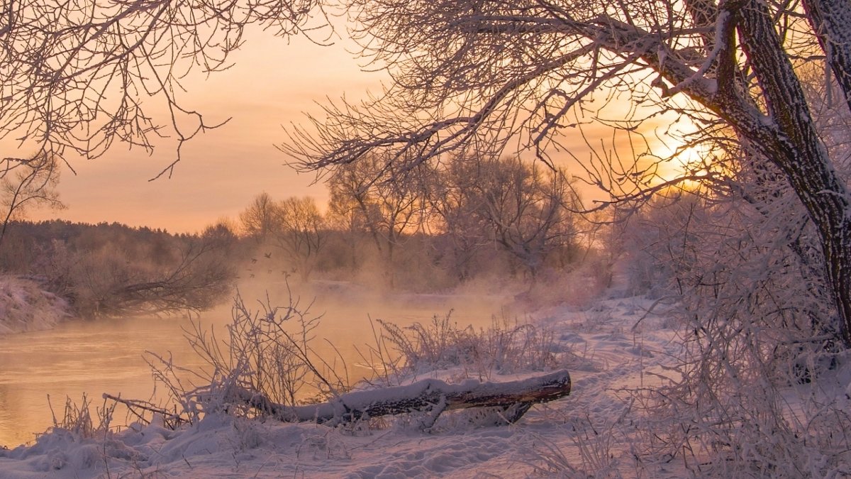 Морозное утро... - Леся Вишня