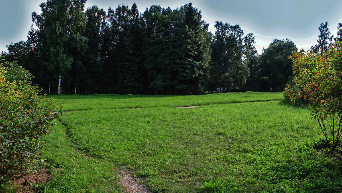 В глубине парка.(Павловск.) - Александр Лейкум