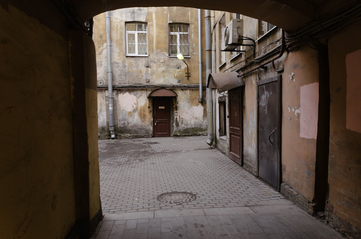 Петербургские дворы - ник. петрович земцов