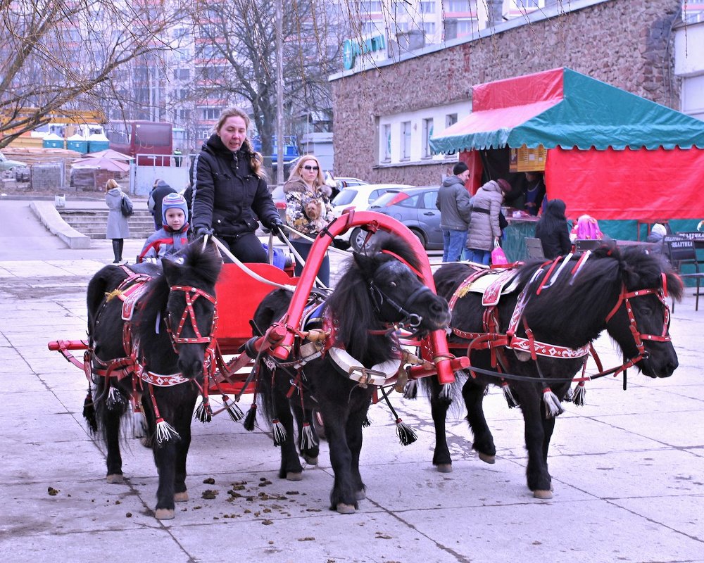 Минск. Выставка-шоу лошадей «Весна 2014». - Nonna 