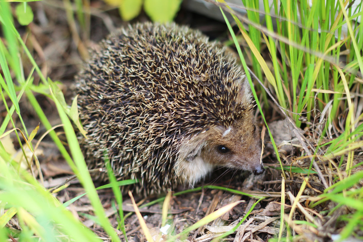 Интересный гость - Никита Живаев