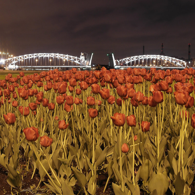 Мост Петра Великого - Vasiliy 