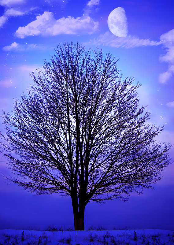 Зимний-этюд-17 - Анатолий Клепешнёв