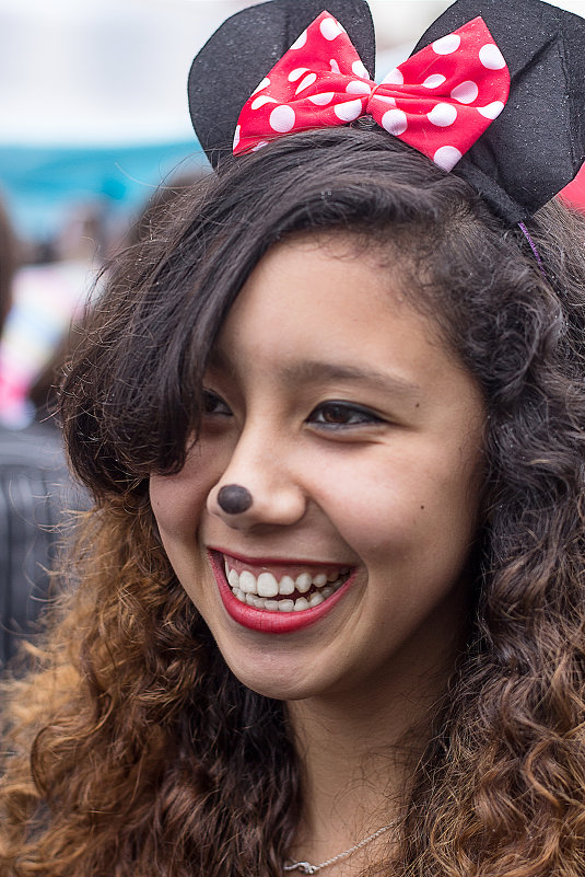 Карнавал 2014 Elizondo - Владимир Бадюля