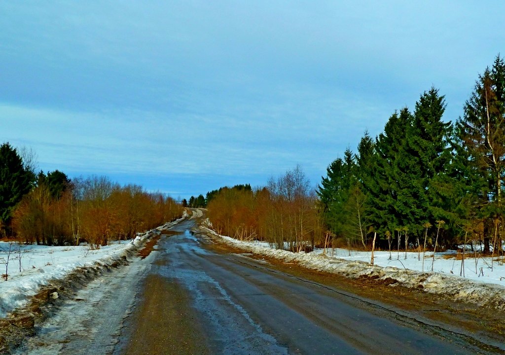 ВЕСЕННЯЯ ПРОГУЛКА - Виктор Осипчук