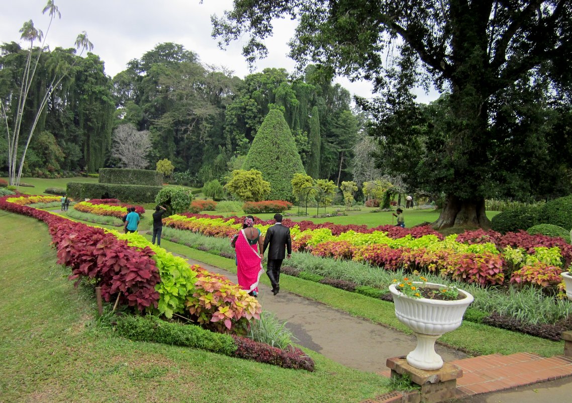 В саду... - Елена Байдакова