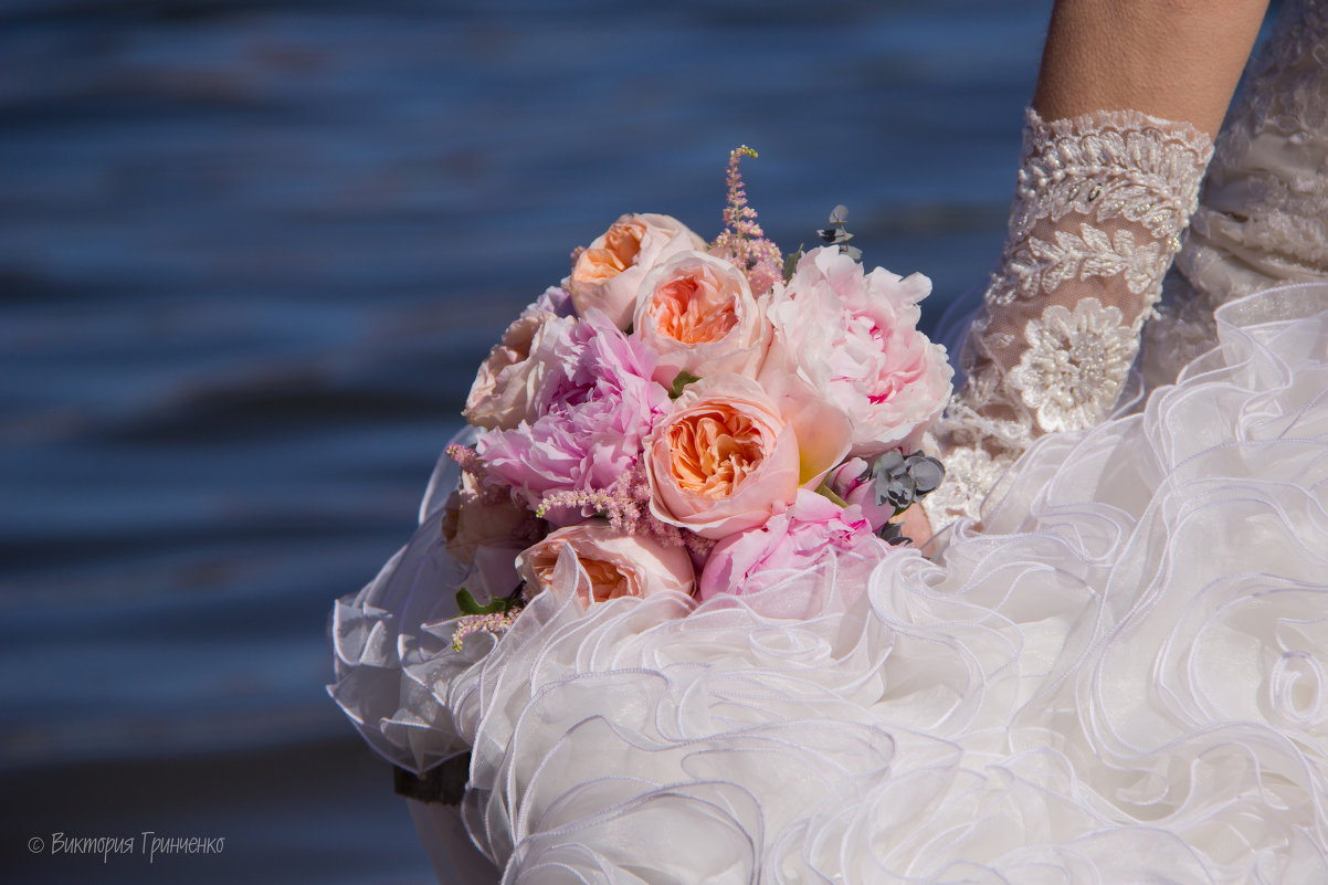 лена - Виктория Гринченко