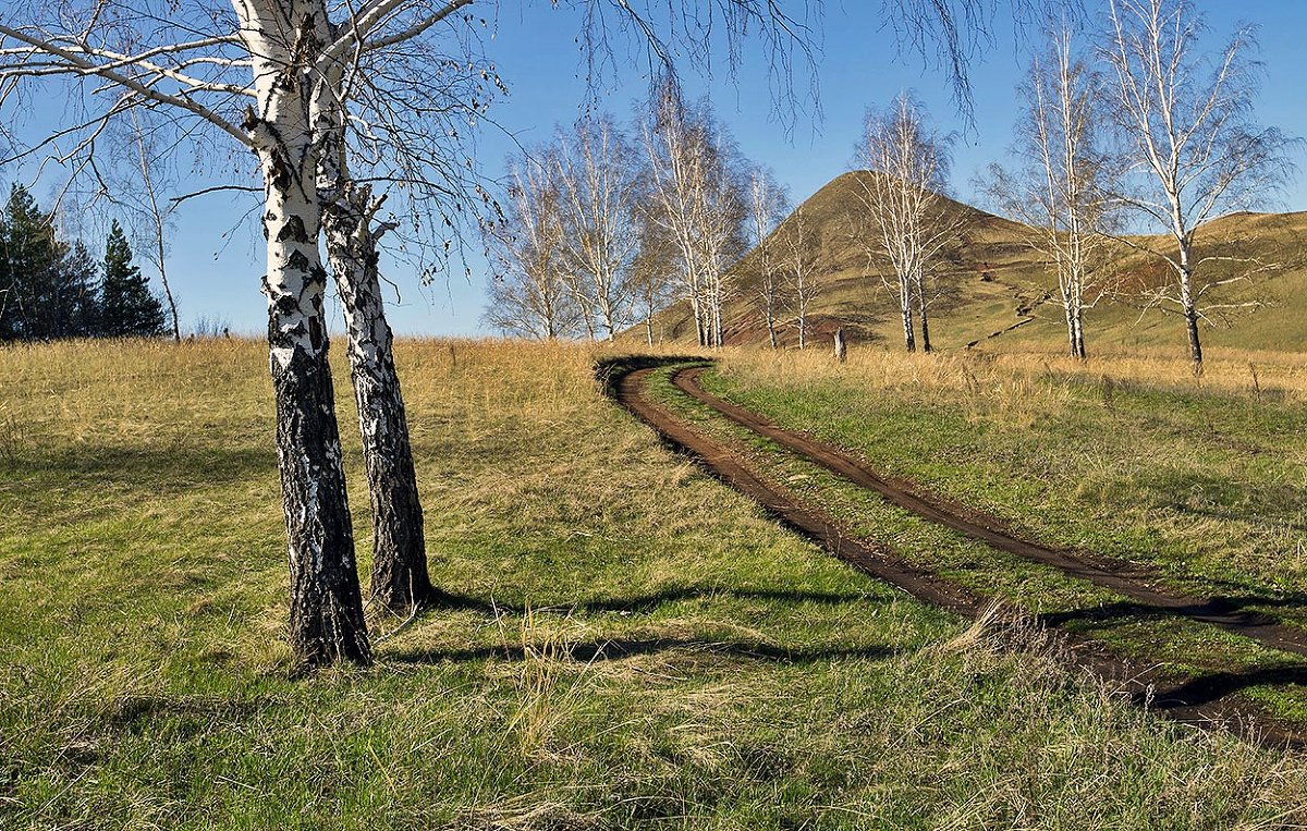 Дорога к холмам - Любовь Потеряхина