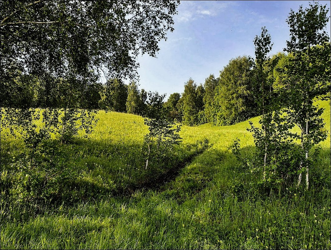 Перелесок - Любовь Потеряхина