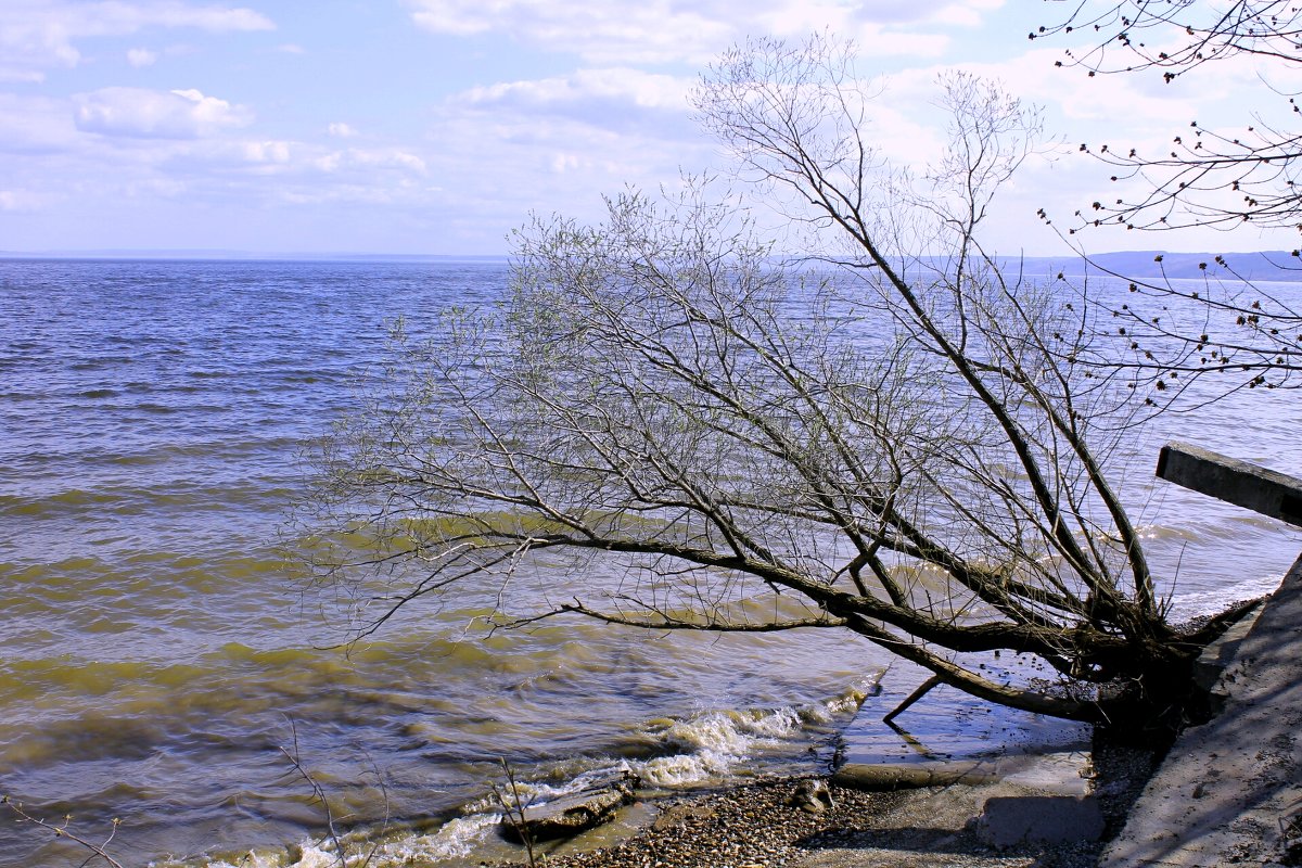 Поверженная, но не побежденная - Евгений Агудов