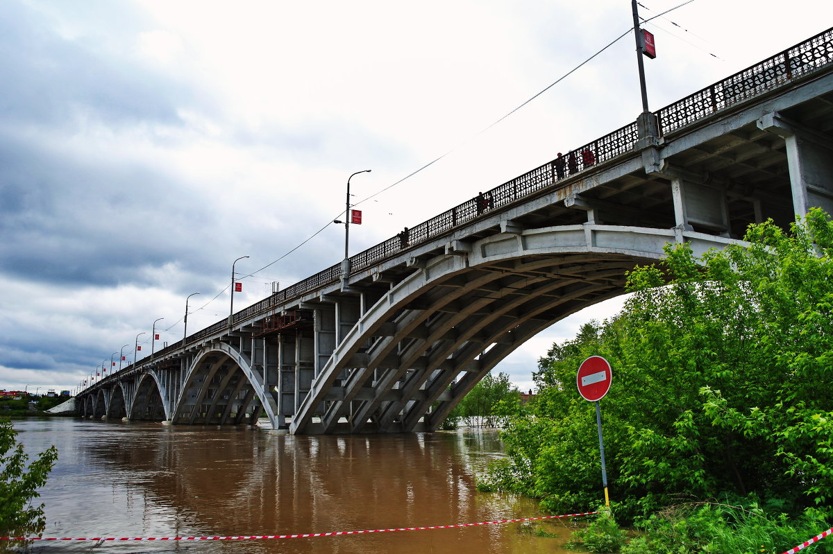 Мост через Бию.Большая вода 2014 года. - Владимир Михайлович Дадочкин