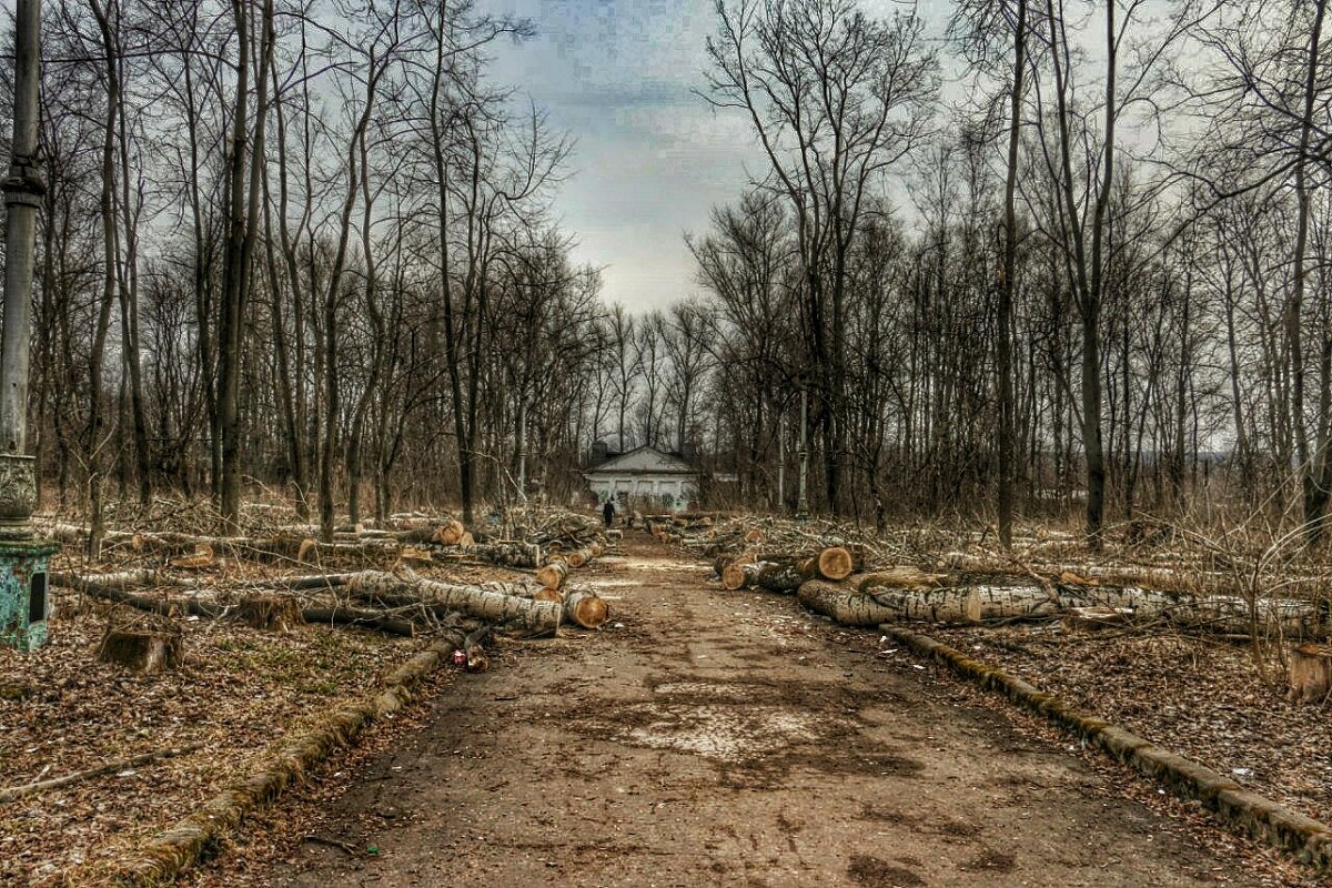 Ясногорский парк - Екатерина Пехова