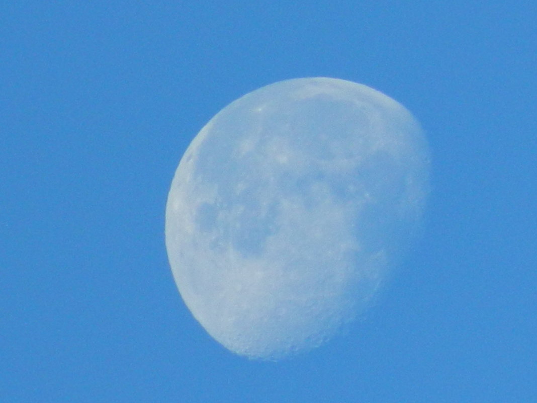 луна днем - Анатолий Смольников