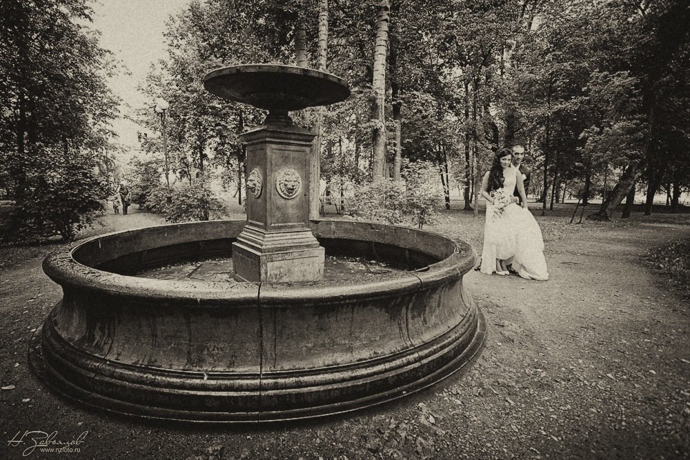 Свадьба - Николай Завьялов