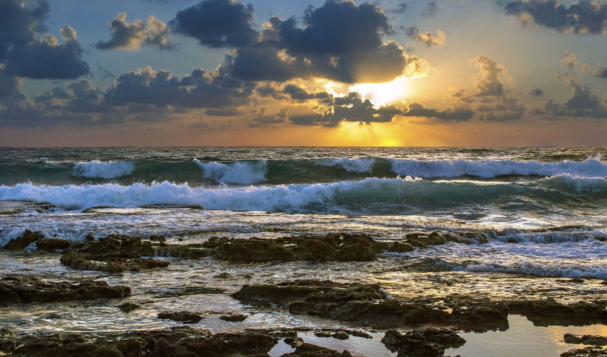 *** - Эмиль *** - Эмиль