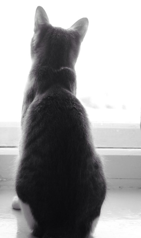 В неизведанное - Анна Здвижкова