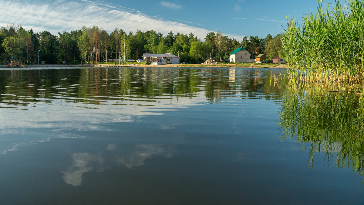 *** - Олег Козлов